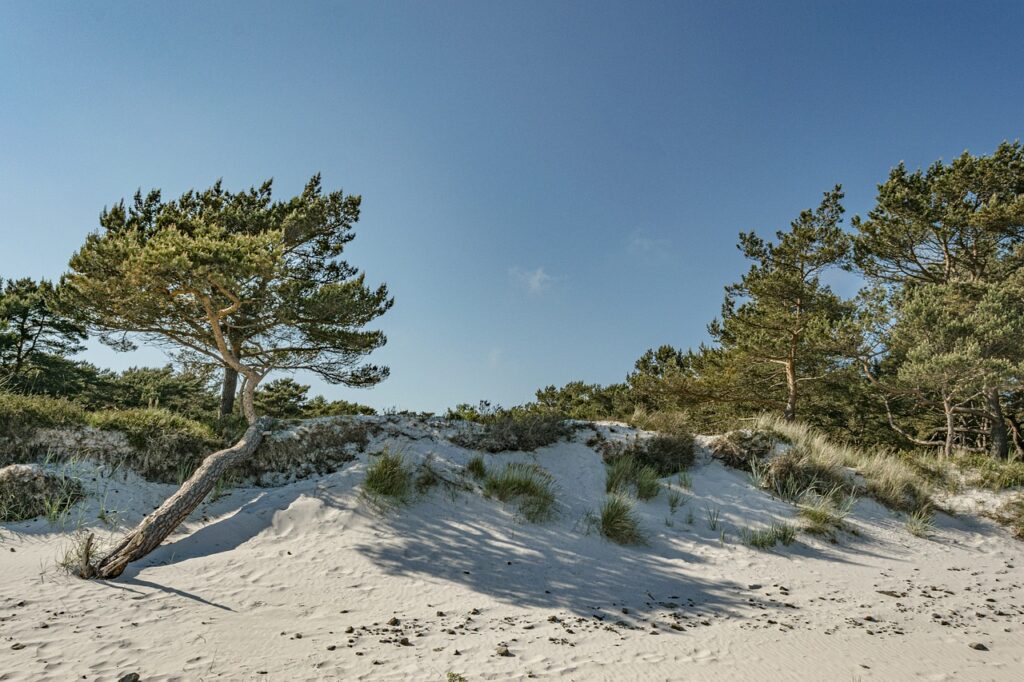 beach, baltic sea, free wallpaper-4938036.jpg